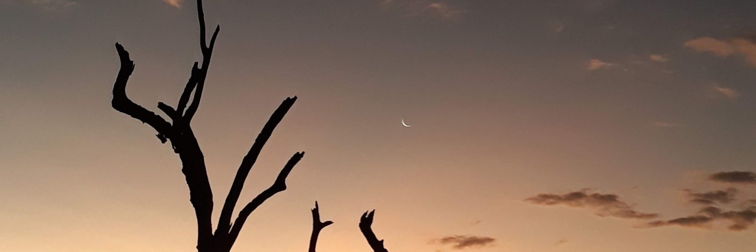 tomazhudson's profile banner image