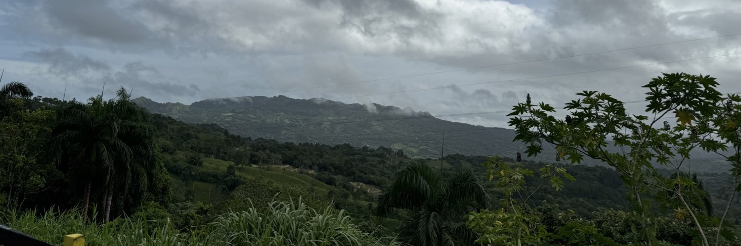 bingstein's profile banner image