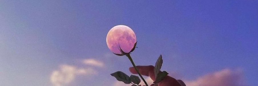 pluto banner