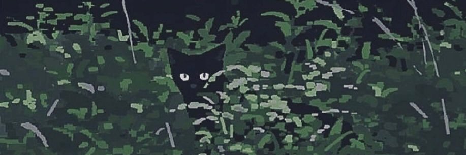 raregnety's profile banner image