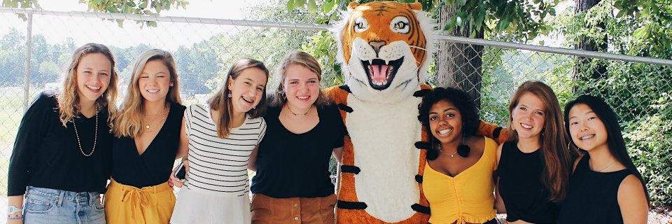chhs_studentgov's profile banner image