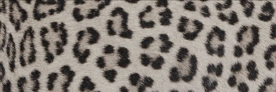 🍥 banner