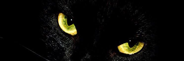 cuque entope banner