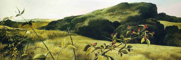 vaughnwallace Profile Banner