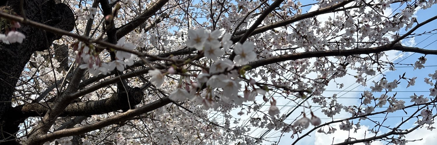 ぽこ@かんりえいようし banner