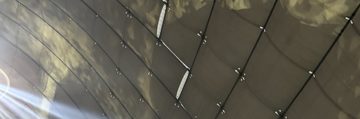 しなもん banner