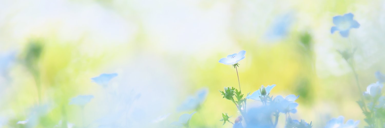 houroukamome39's profile banner image