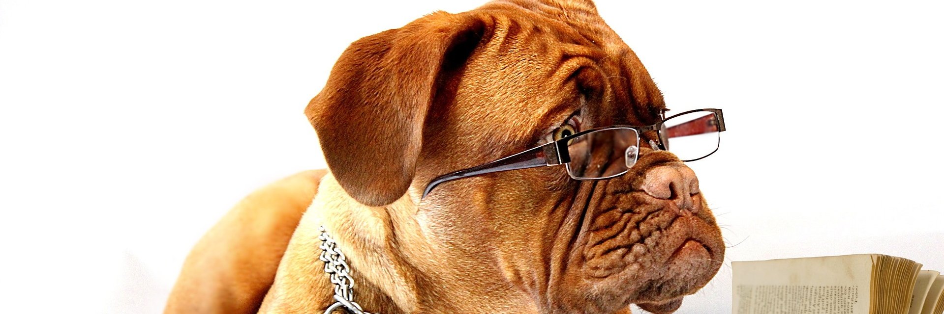 novatodoce's profile banner image