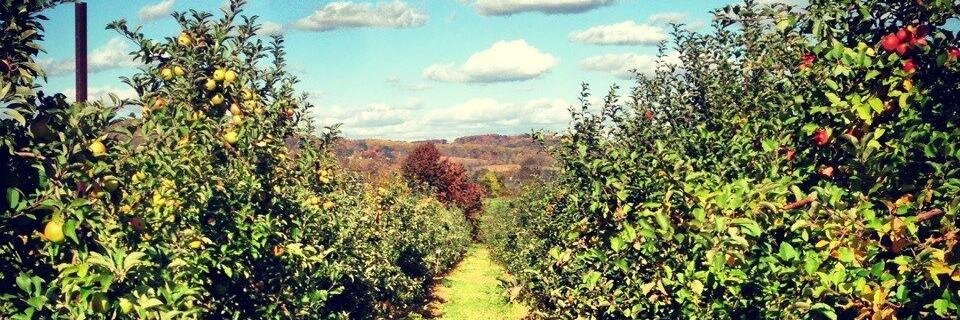 Michwitz91's profile banner image