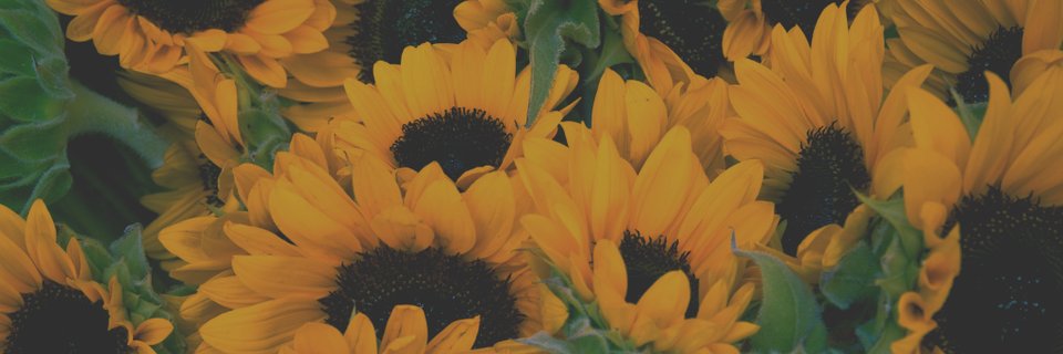 eexpomarker's profile banner image