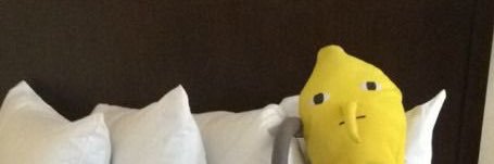후라이's banner