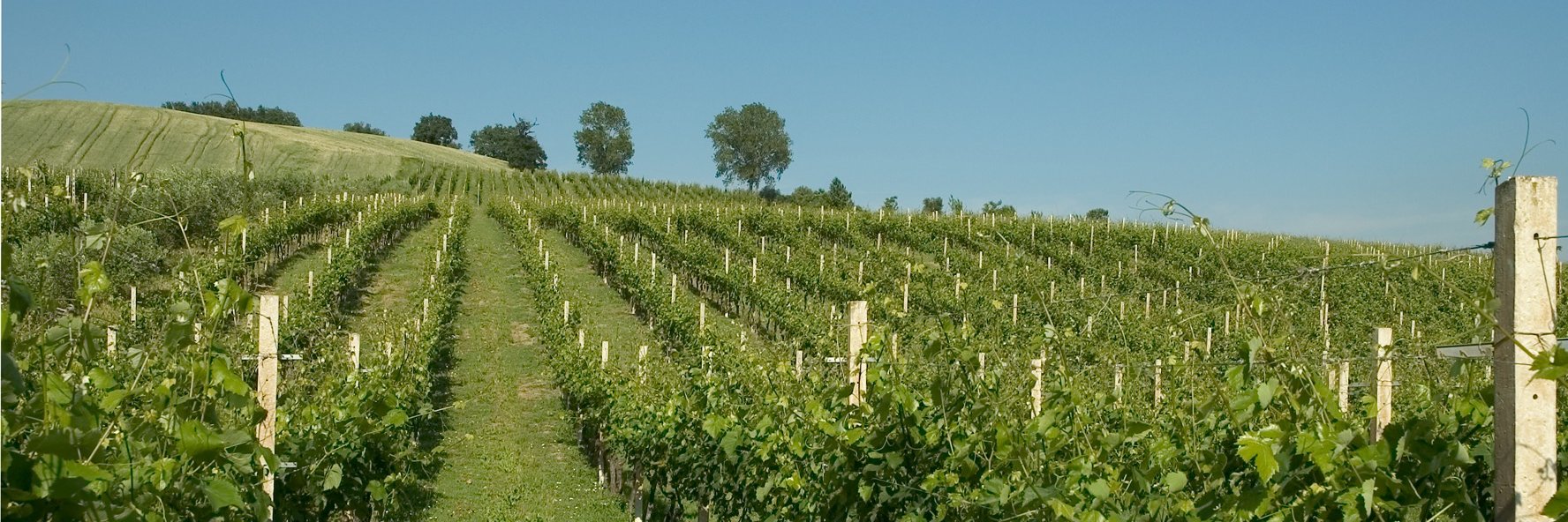 EmpsonCanada's profile banner image