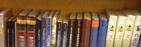 WMSLibraryChick Profile Banner