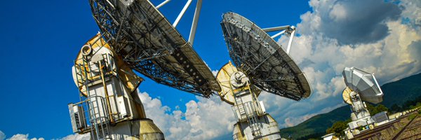 FF81000 Profile Banner