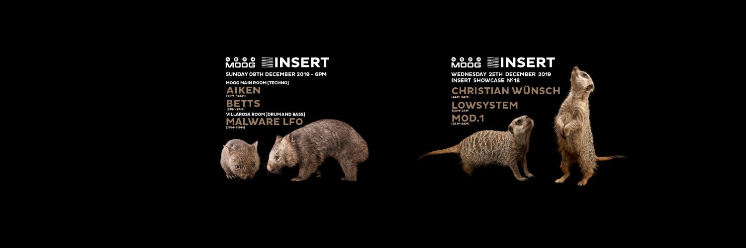 INSERT Techno banner