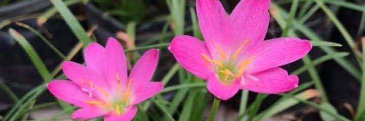 HiDada436875's profile banner image
