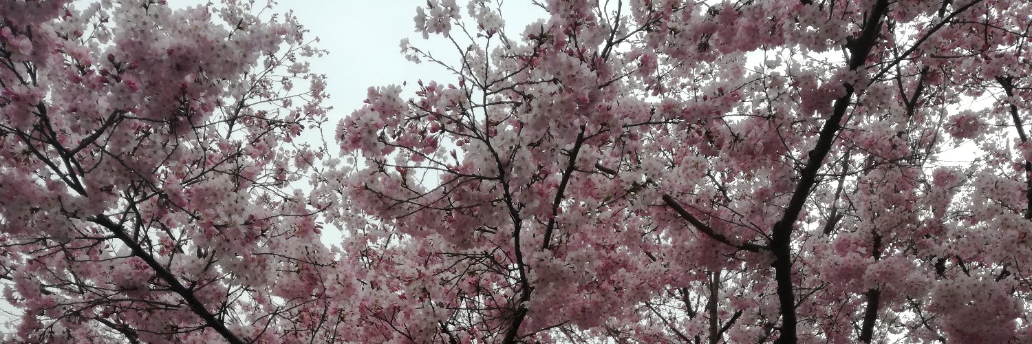 MonikaAkiman's profile banner image