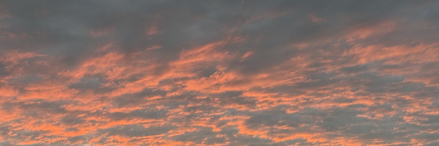 첵스초코(초코🍫) banner