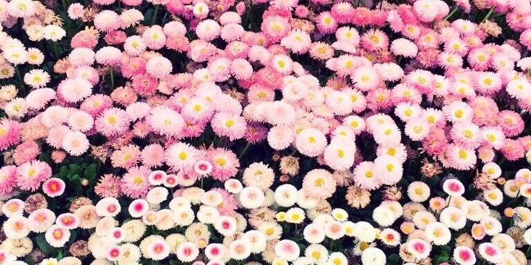 YuRicha_aa's profile banner image