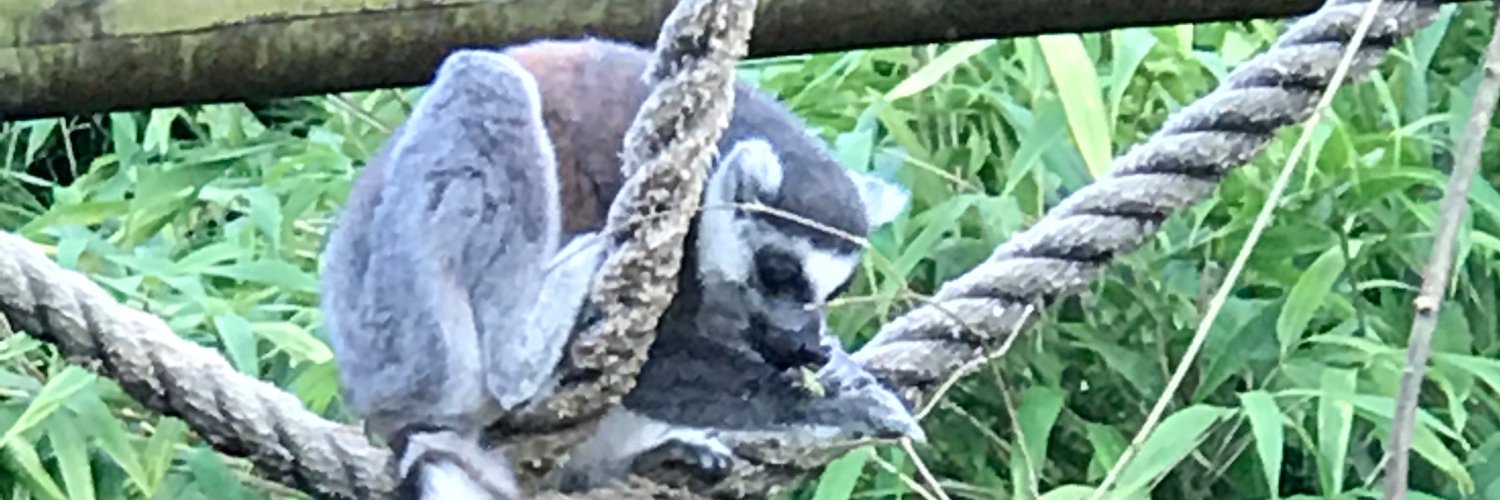 TracyAnn37's profile banner image