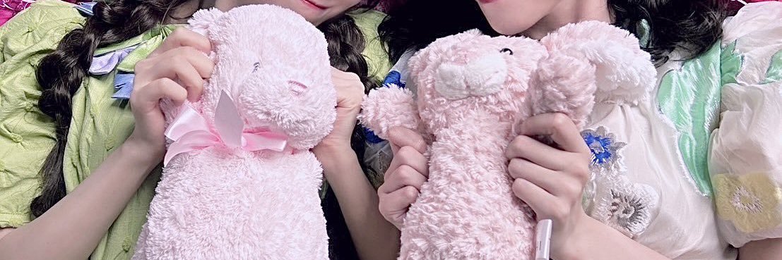 🐰 banner
