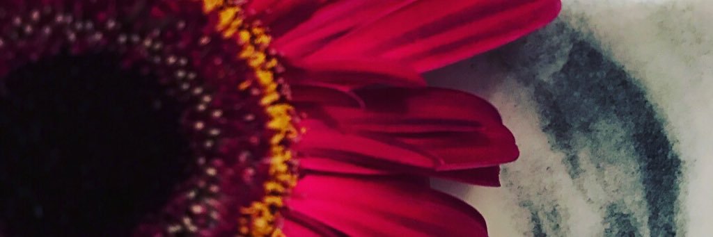cecakedesign's profile banner image