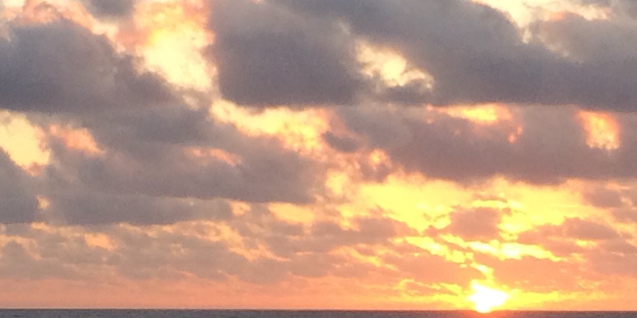 Vicente Zapata banner