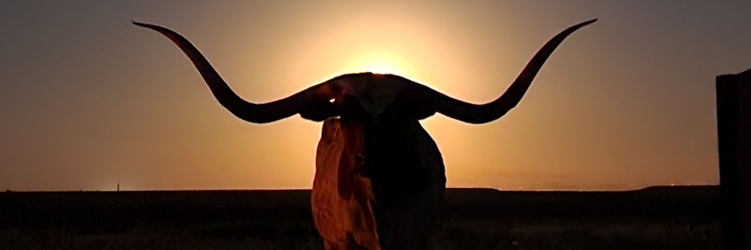 That1Bee's profile banner image