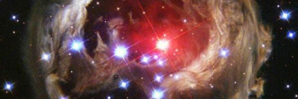 AlxxA966's profile banner image