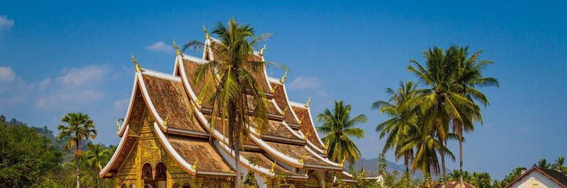 TLaos5789's profile banner image