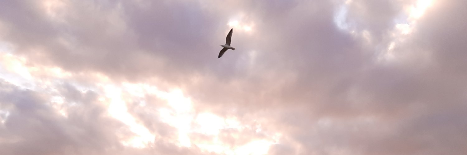 lvanzgan's profile banner image