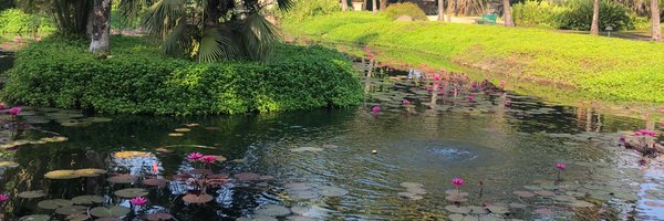 GeetikaKalloo Profile Banner