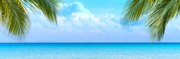 okrn8start's profile banner image