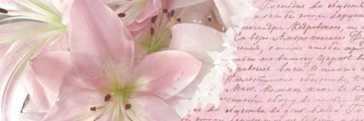 kohan3_'s profile banner image
