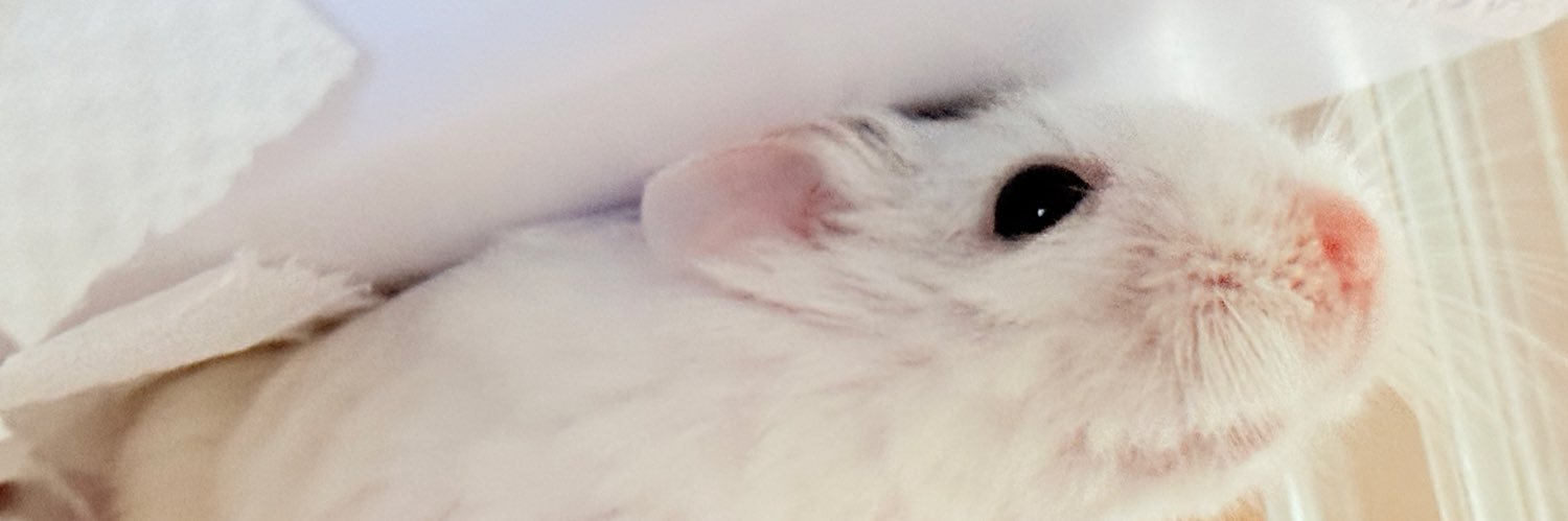 mottomochi2's profile banner image