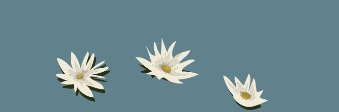 Wadeg banner