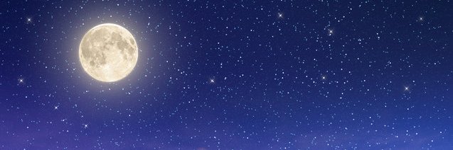 LadyTaury's profile banner image