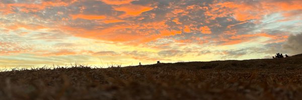 gaelgthomas Profile Banner