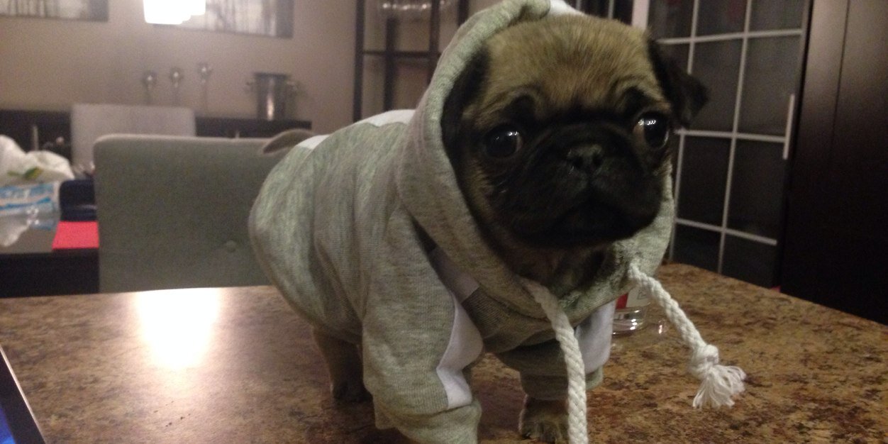 Samuel Brodeur banner