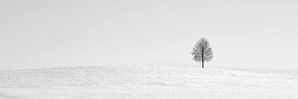 hrafn_tyr Profile Banner