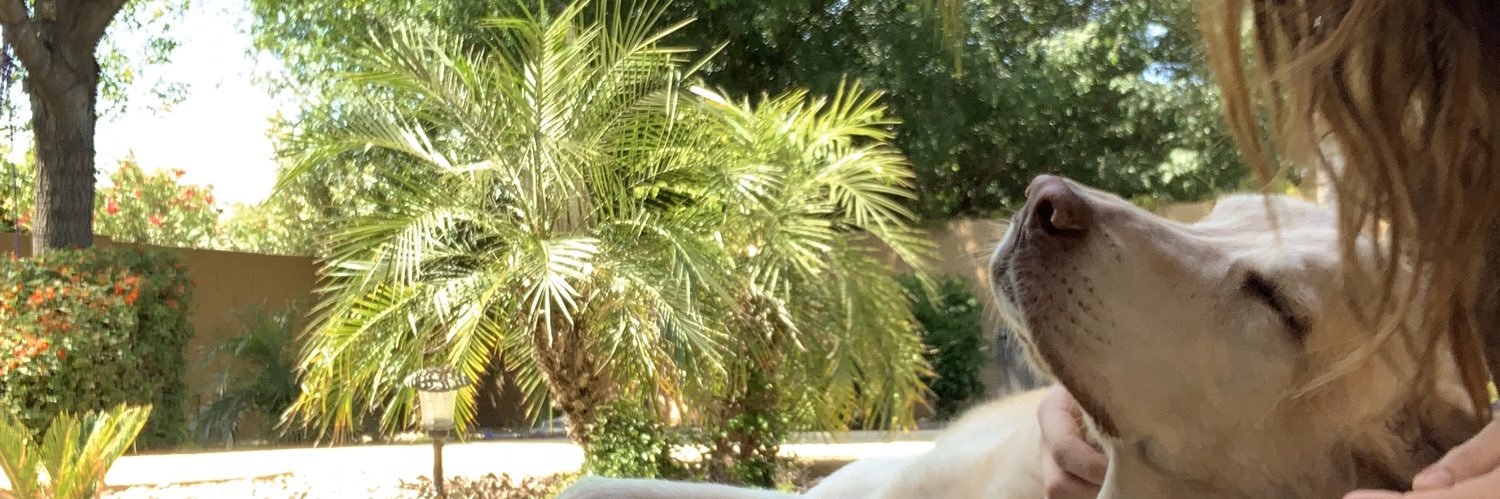 kaitlynborger's profile banner image