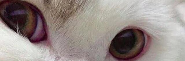 My198340's profile banner image
