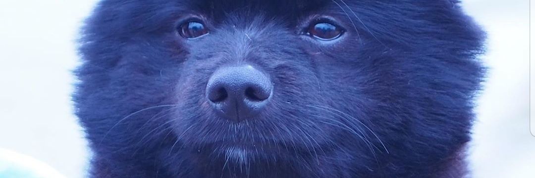 Mightyeej's profile banner image