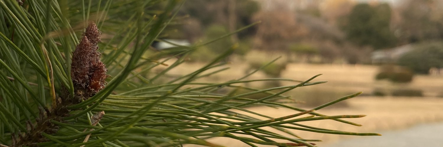 dubPRIVATO's profile banner image