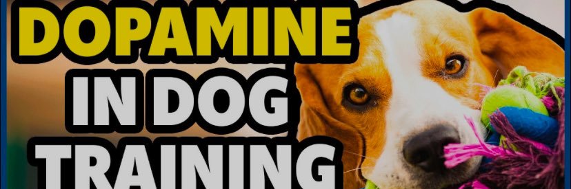 Dopamine in Dog banner