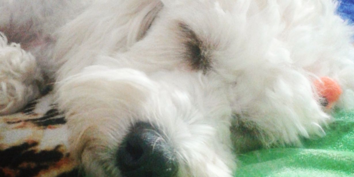 Gabitou's profile banner image