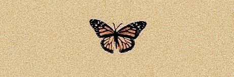 _Cardozooo's profile banner image