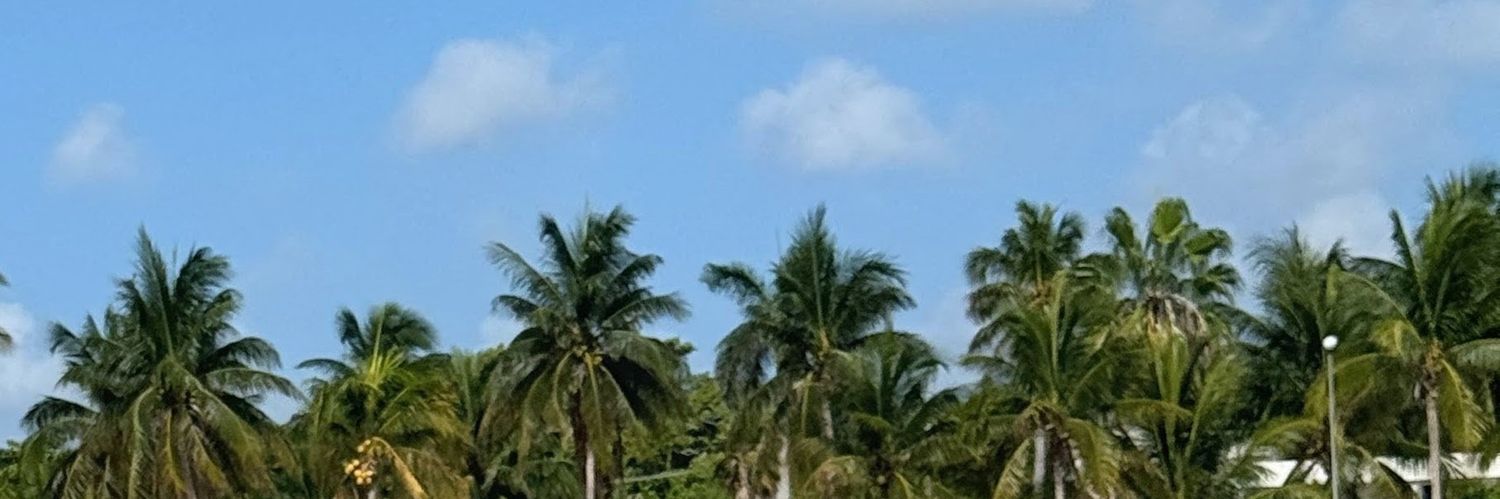 PaulJequann's profile banner image