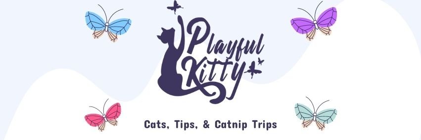 Playful Kitty banner
