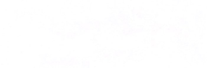 WvWd3's profile banner image
